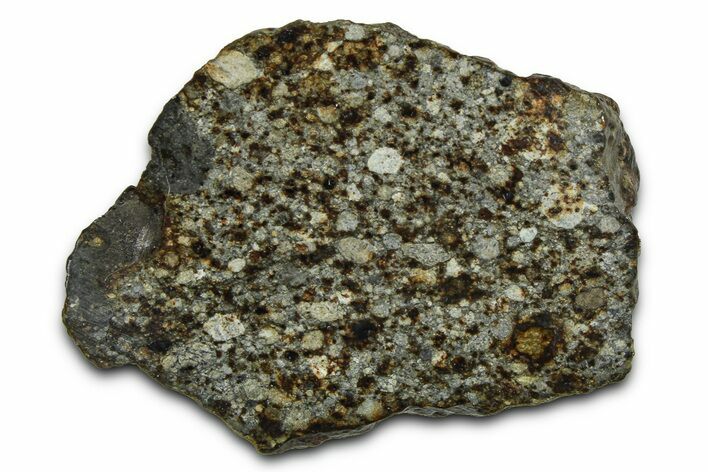 Chondrite Meteorite Section ( g) - NWA #378820